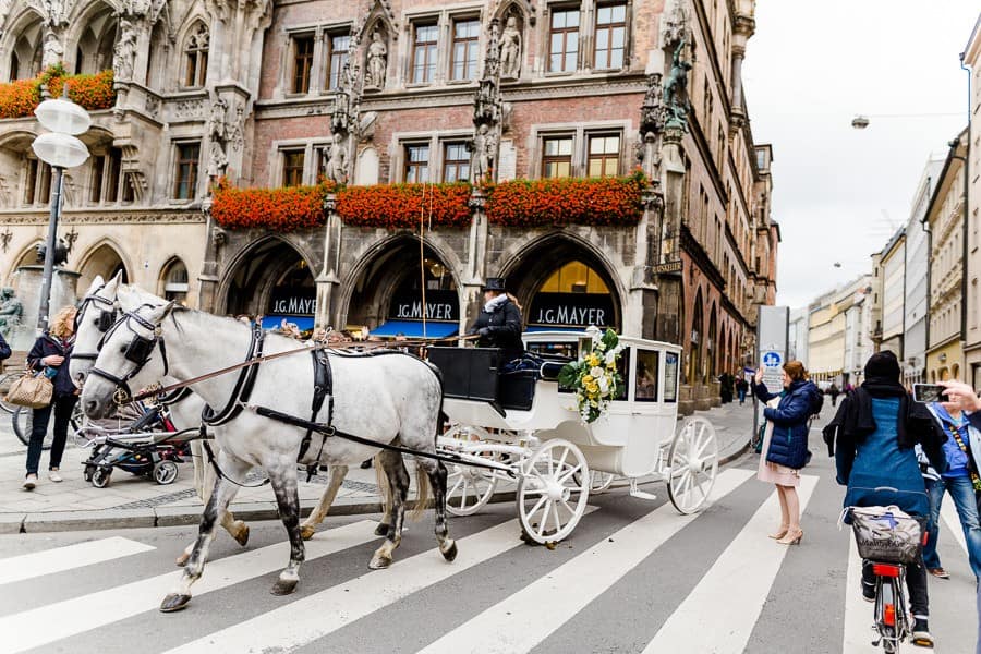 Hochzeitskutsche mit weißen Pferden vor dem Rathaus München