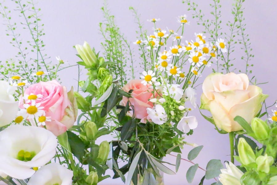 Hochzeit mit Protea. Blumen in einzelnen Vasen in Rosa und Weiß. Konzept von Hochzeitsgezwitscher